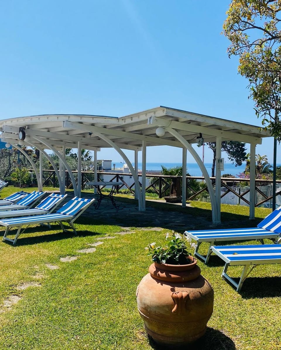 Spring, Natural landscape, Garden, Garden view, Pool view, Swimming pool, sunbed