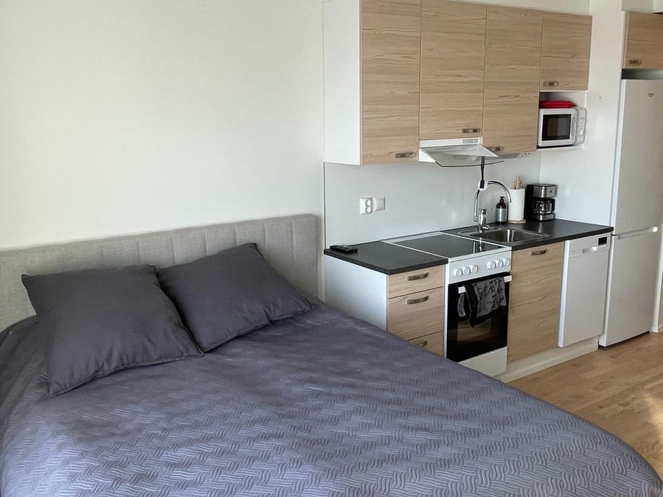 Studio apartment in Kuusamo Apartment in Lapland