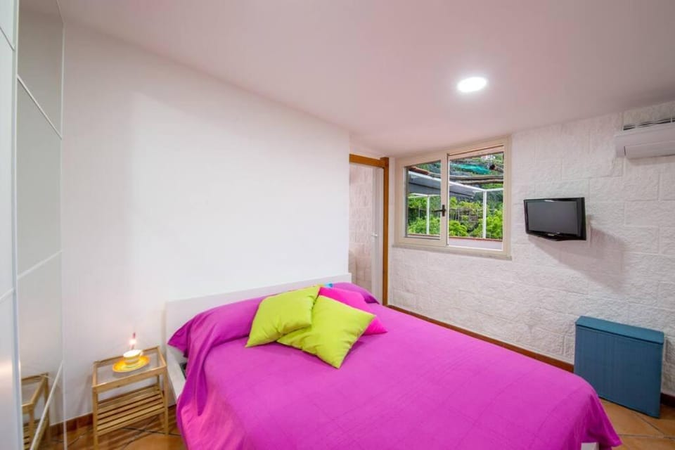 Bed, Photo of the whole room, Bedroom, air conditioner