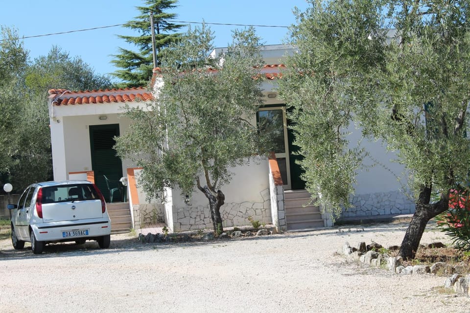 Children play ground