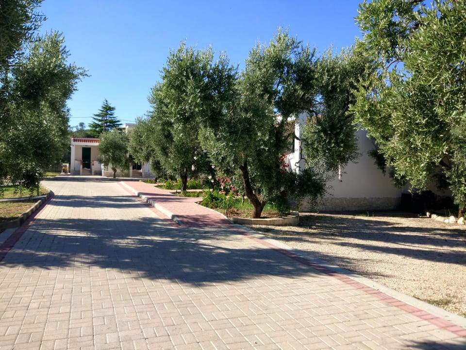 Garden, Street view
