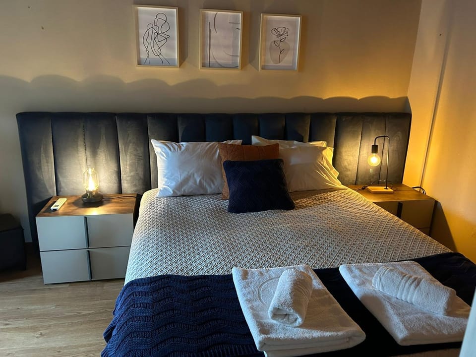 Bed, Bathroom, Bedroom, VIP, air conditioner