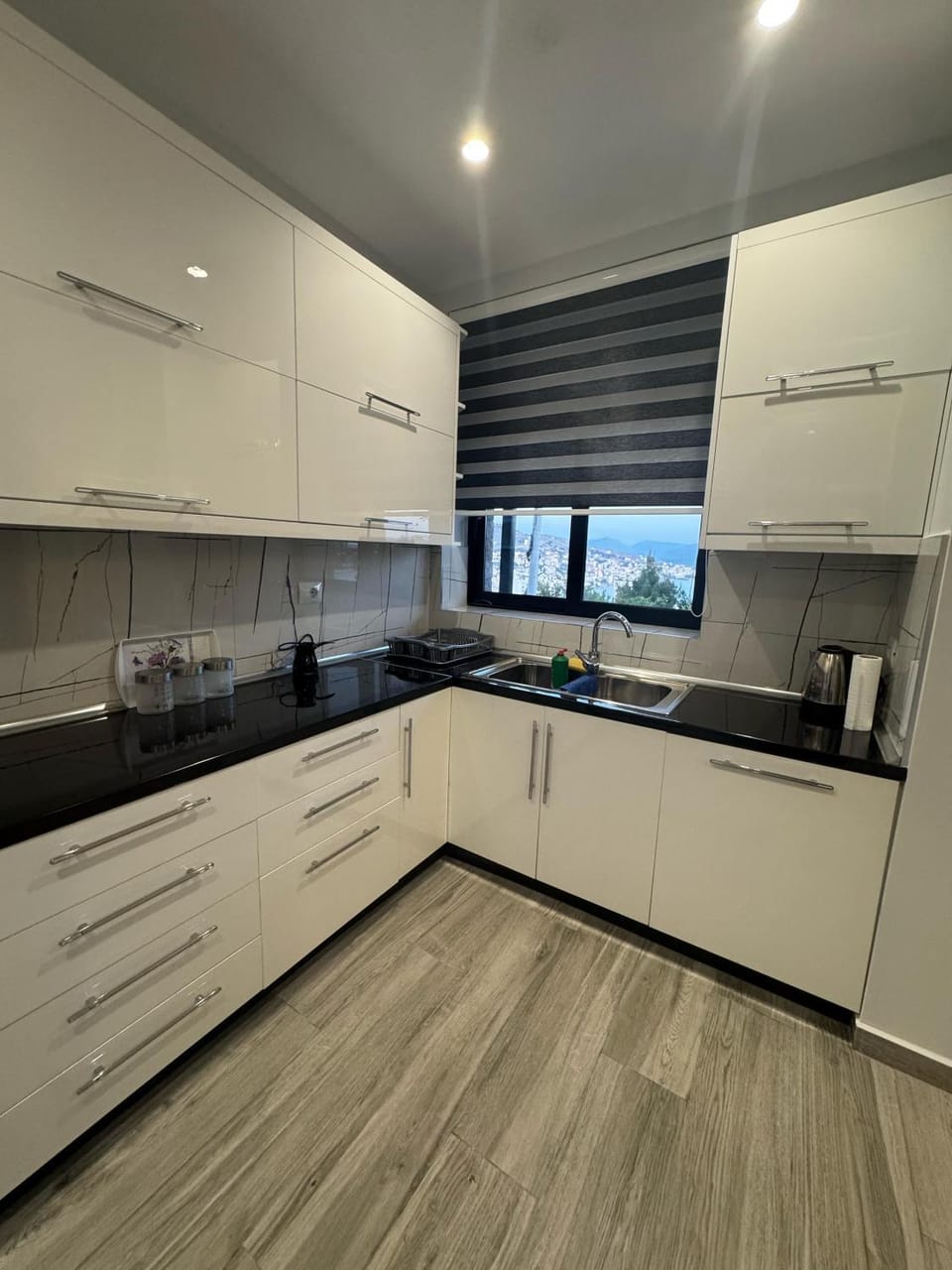 Kitchen or kitchenette, dishwasher, minibar, stove