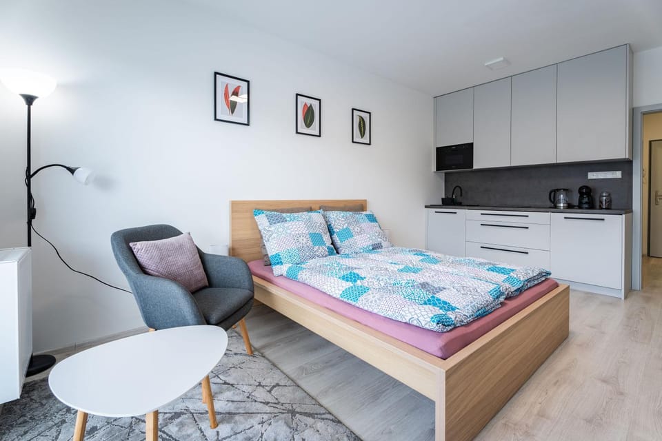 Bed, Kitchen or kitchenette, Photo of the whole room