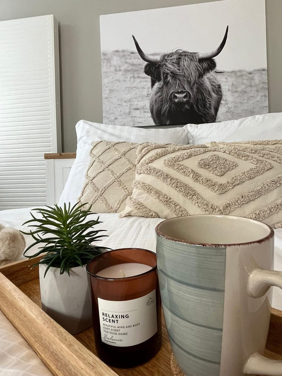 Bed, Photo of the whole room, Decorative detail, Bedroom