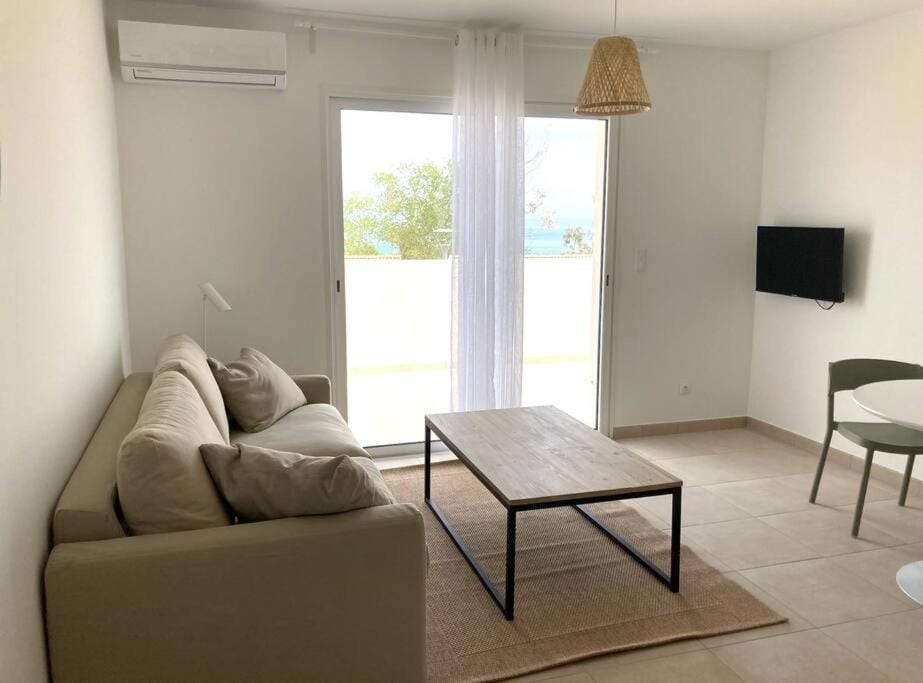 Studio 2 personnes vue mer et pieds dans l'eau N113 Apartment in Linguizzetta