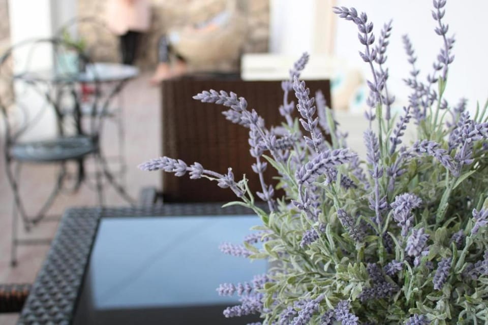 Patio, Balcony/Terrace