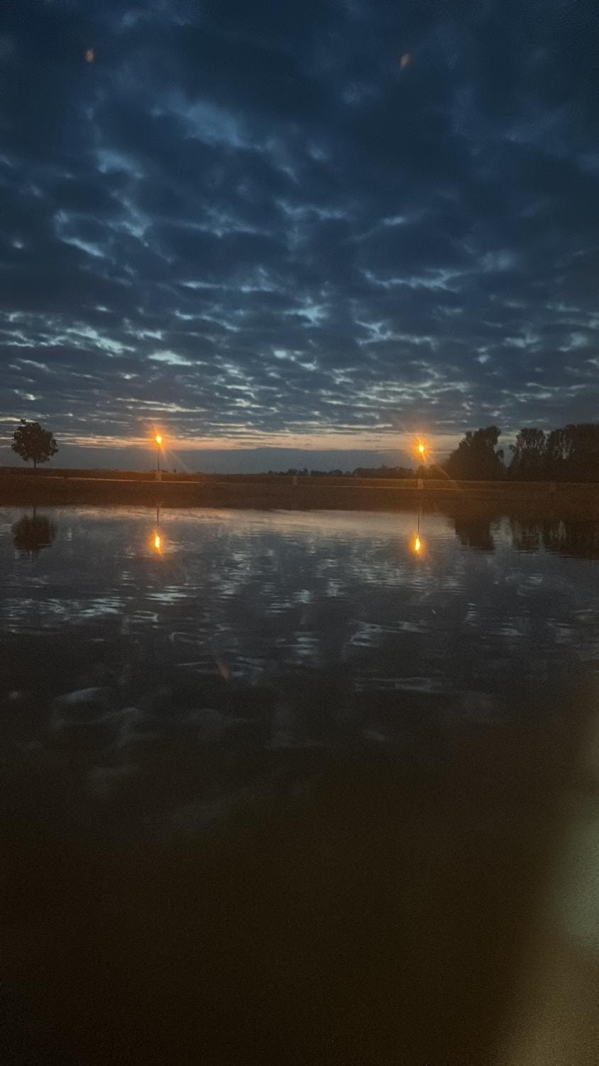 Lake view