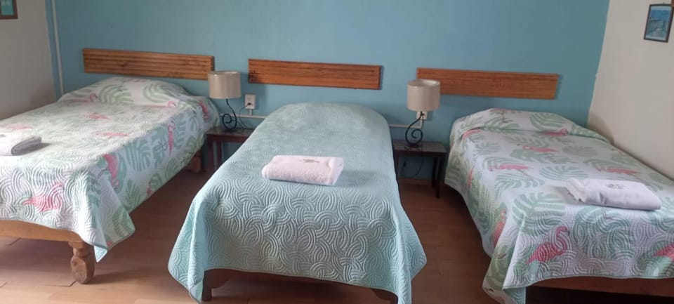Hostal Don Felipe Bed and Breakfast in Guadalajara