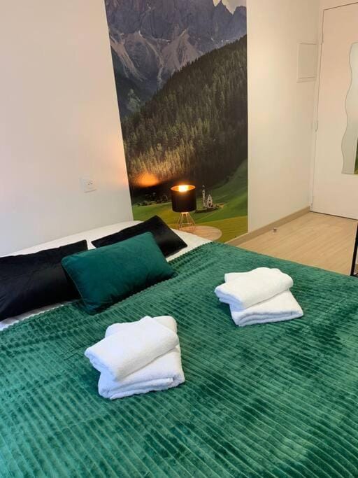 Esprit Suisse, Joli studio au coeur de Mulhouse Apartment in Mulhouse