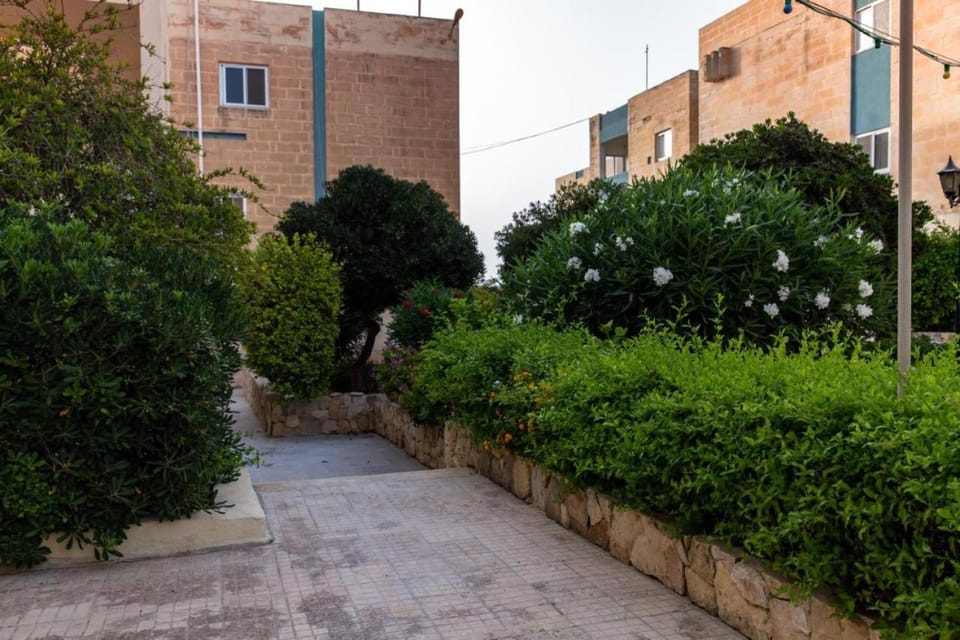 Garden, Inner courtyard view