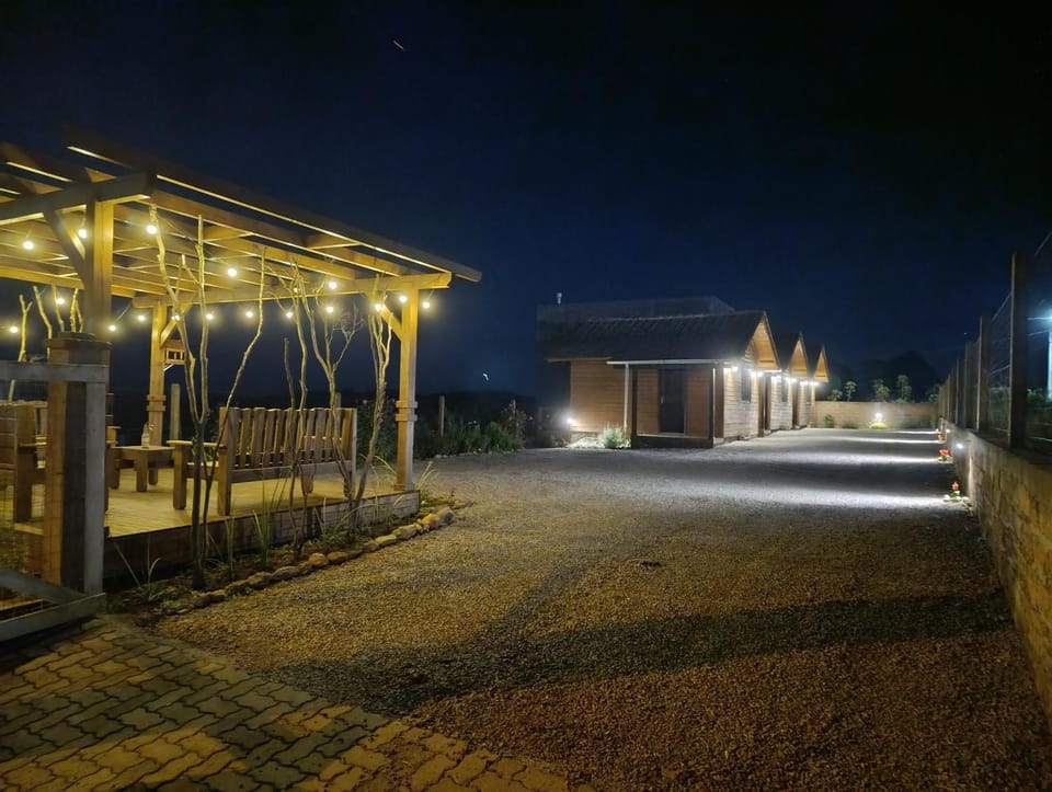 Patio, Night