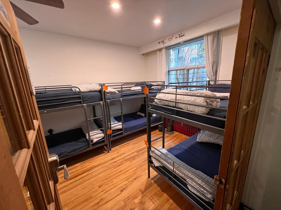 Bed, Photo of the whole room, Bedroom, bunk bed