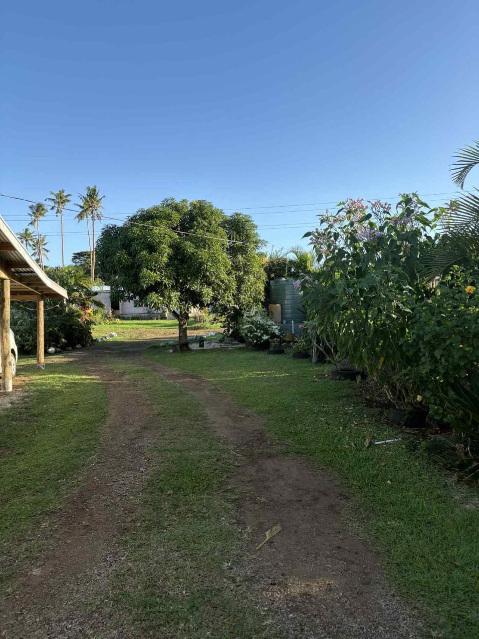 Natural landscape, Garden, Garden view
