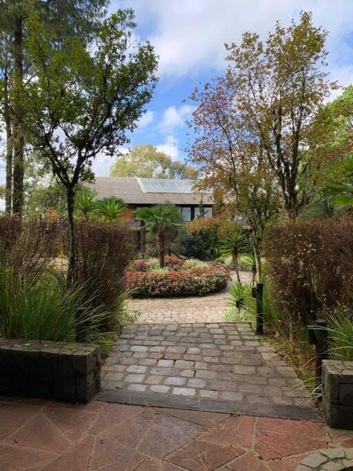 Garden view