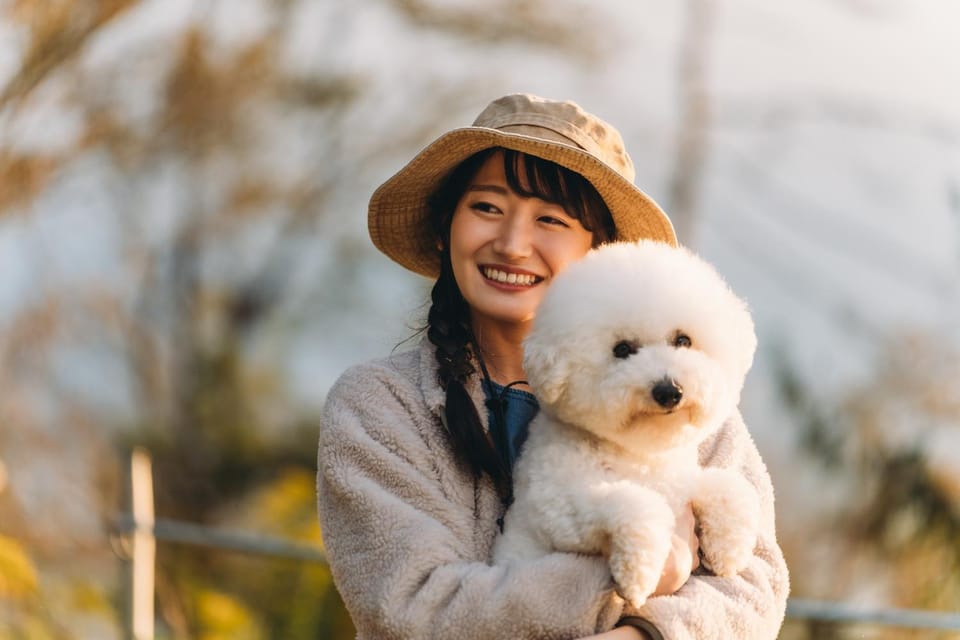 Pets