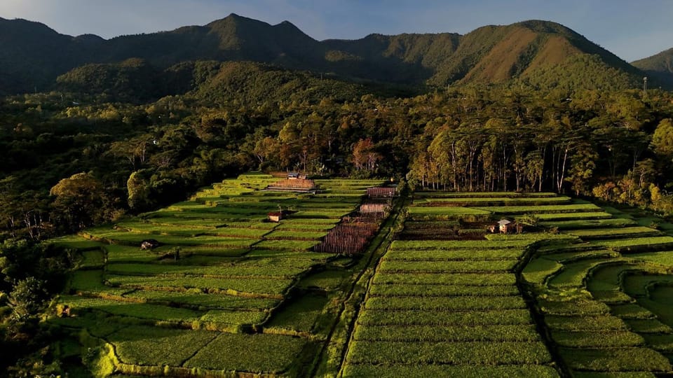 Natural landscape