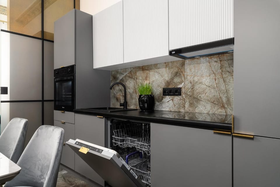 Kitchen or kitchenette, dishwasher