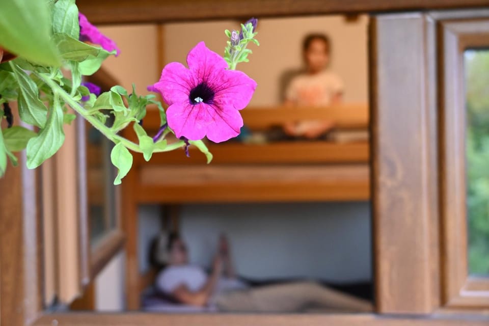 Cottage Kitka Campground/ 
RV Resort in North Macedonia