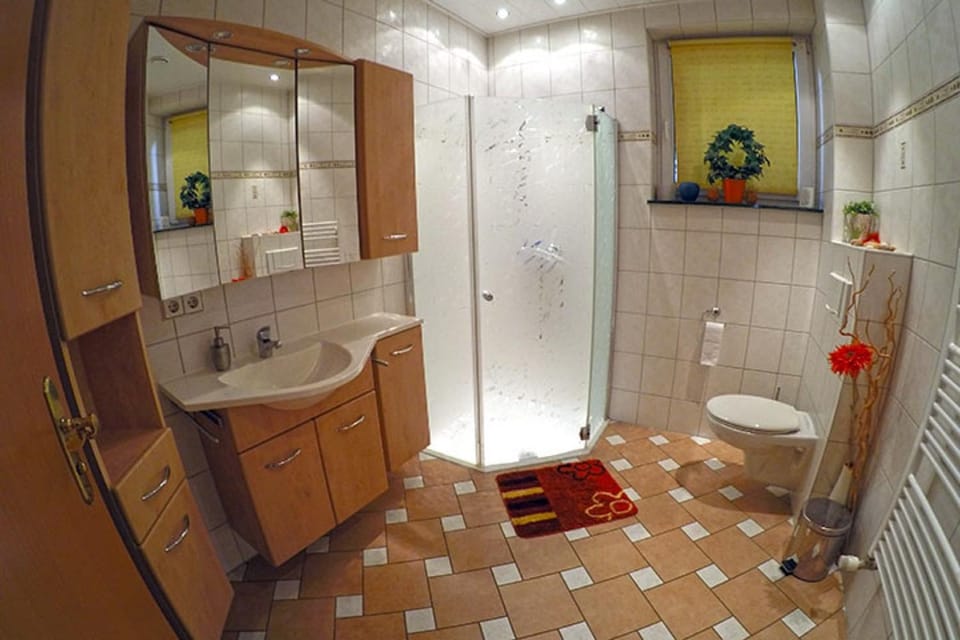 Bathroom, Living room