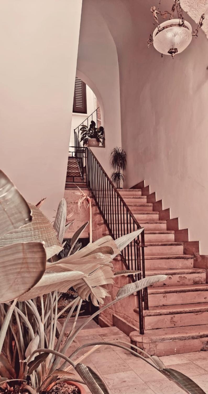Carrube Apartments Bed and Breakfast in Trani