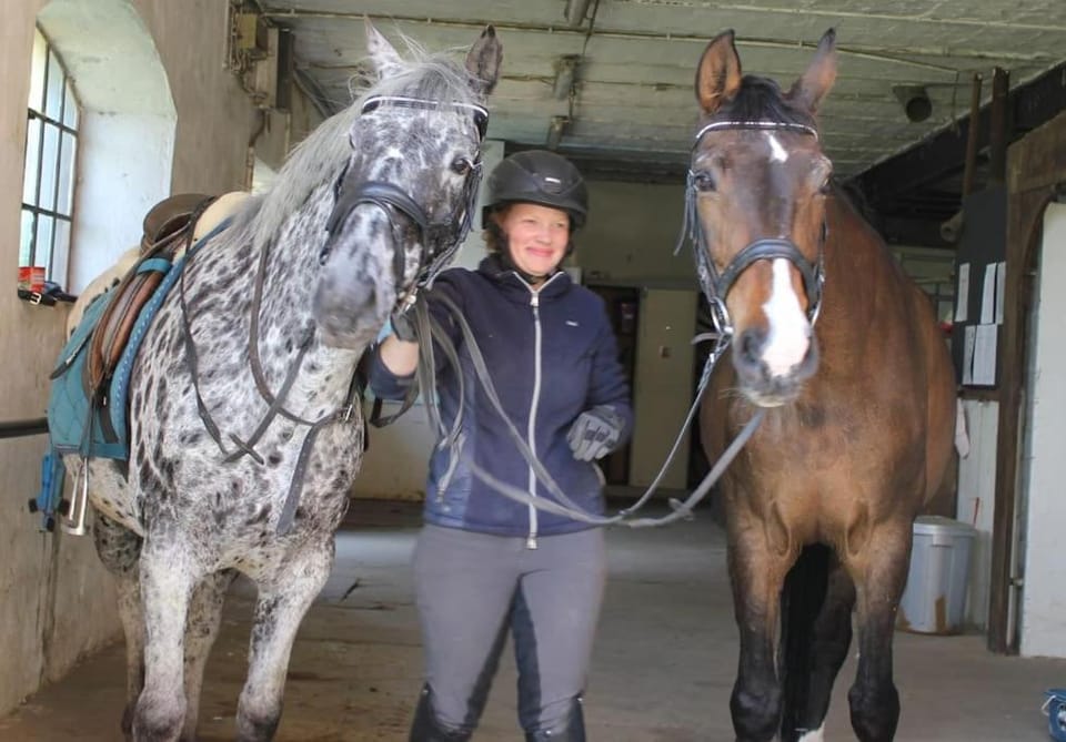Horse-riding, Animals