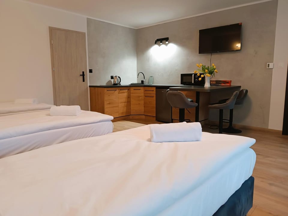 Bed, TV and multimedia, Kitchen or kitchenette, Other, Other, Other, Photo of the whole room, Bedroom