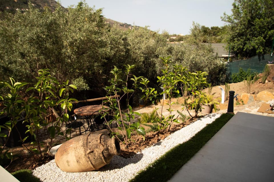 Spring, Day, Natural landscape, Garden, Garden, Garden view