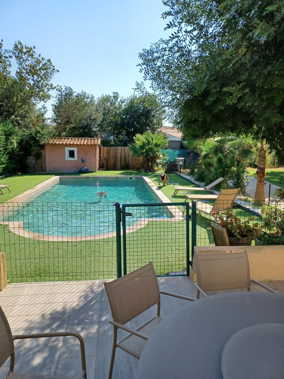Pool view