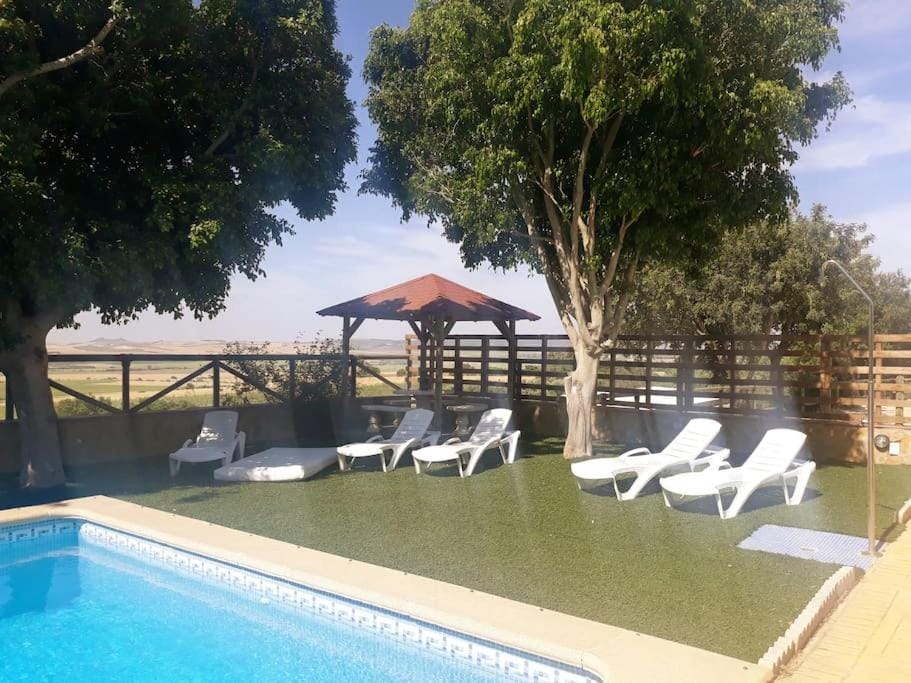 Garden, Garden view, Pool view, sunbed