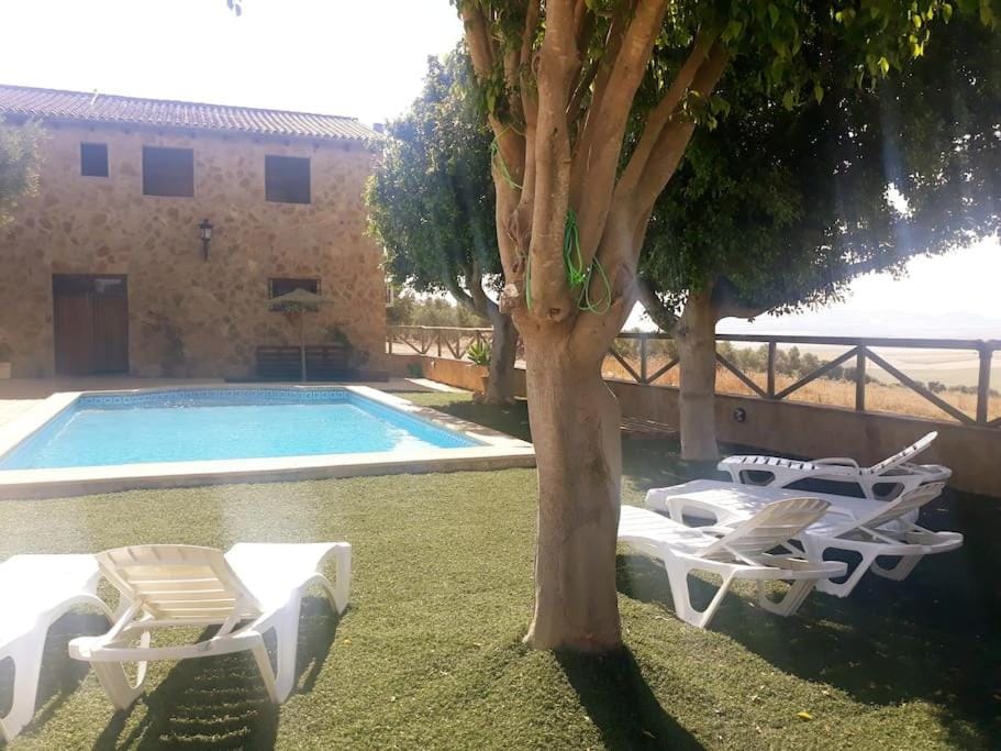 Pool view, Swimming pool, sunbed