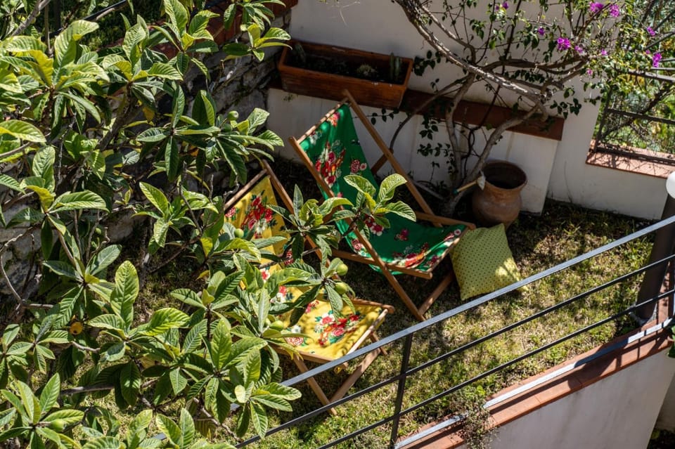 Spring, Day, Garden, Garden view