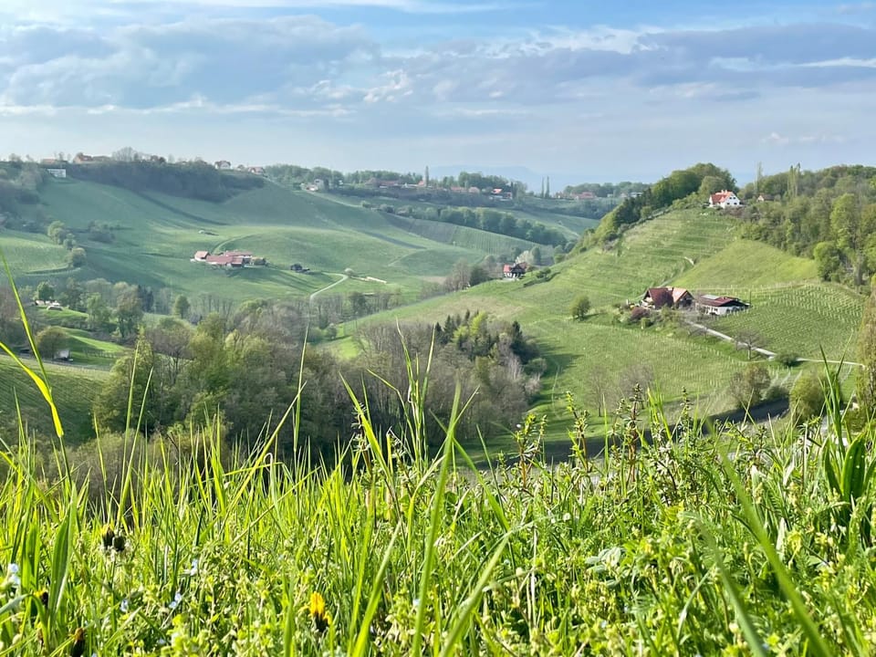 Die Mansarde Apartment in Styria