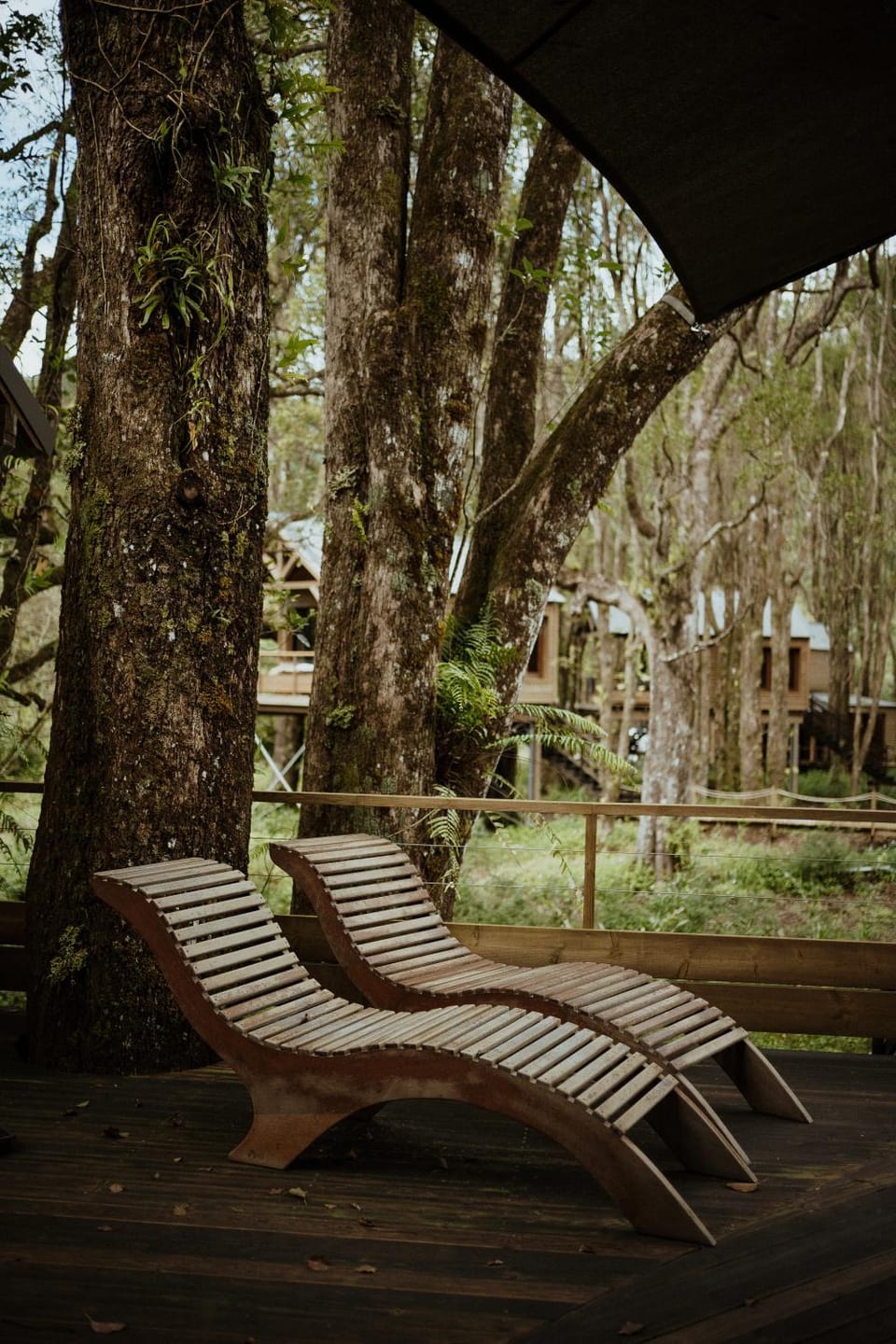 Kanopea Forest Lodge Nature lodge in Réunion