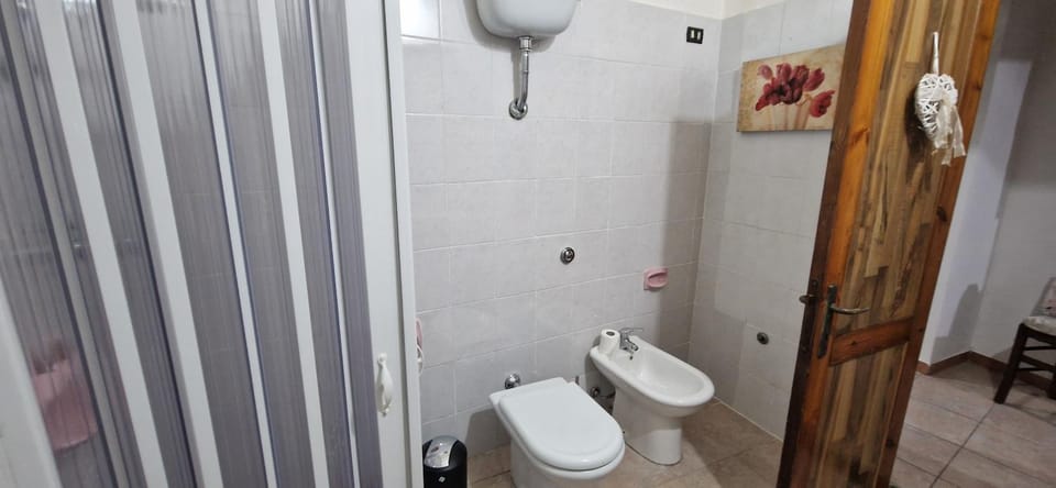 Shower, Toilet, Bathroom, bidet