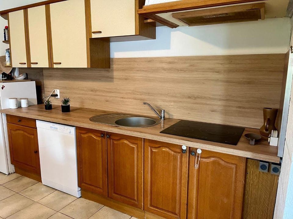 Kitchen or kitchenette, dishwasher, minibar, stove