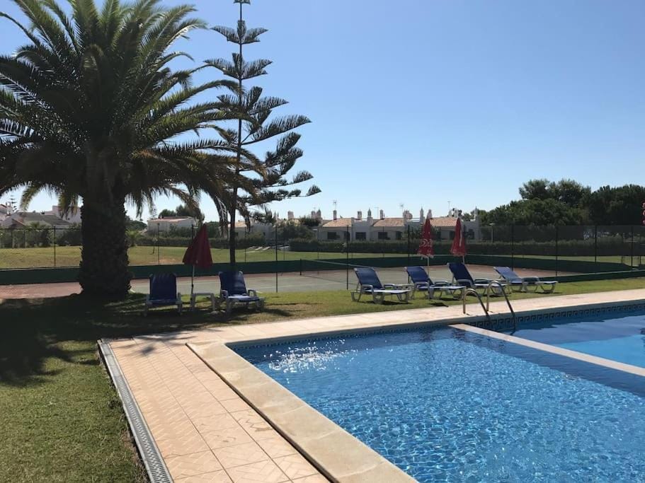 Swimming pool, sunbed