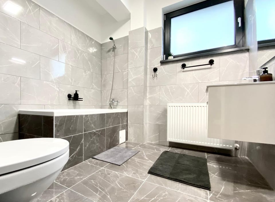 Platinum Family Residence Apartment in Brasov