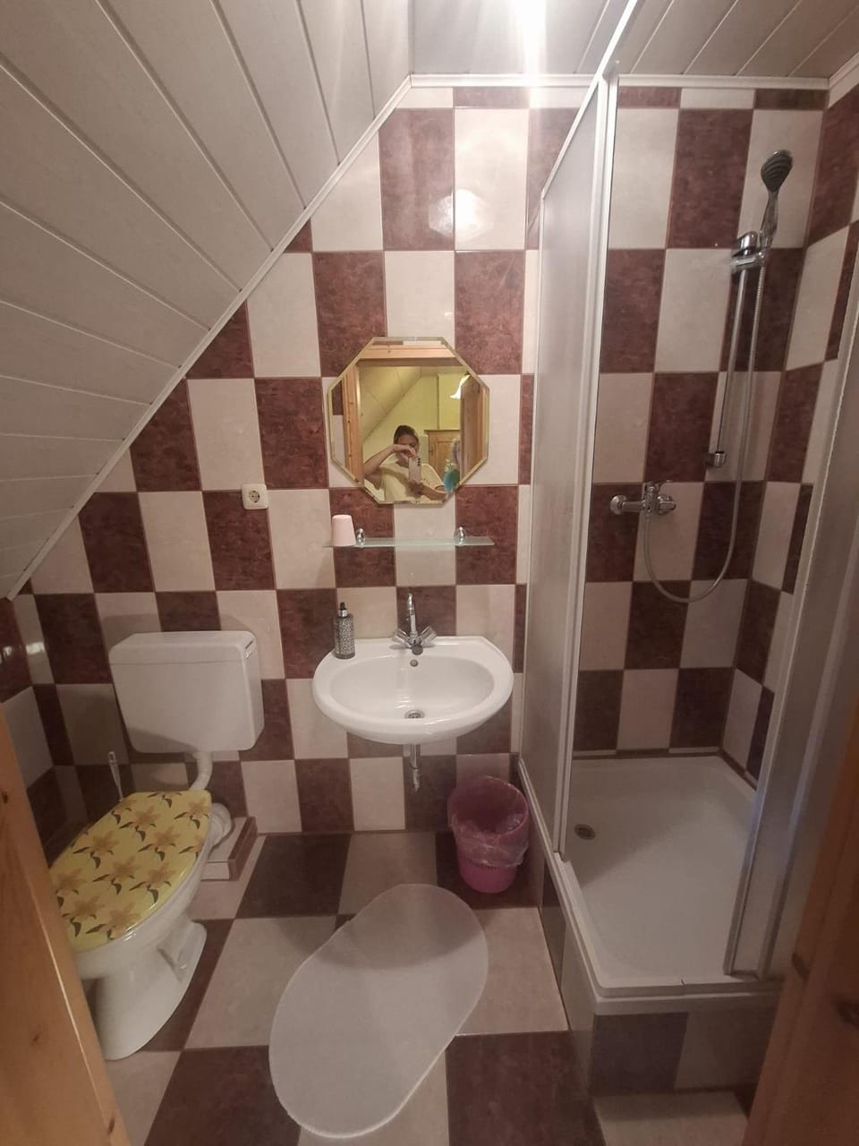 Shower, Toilet