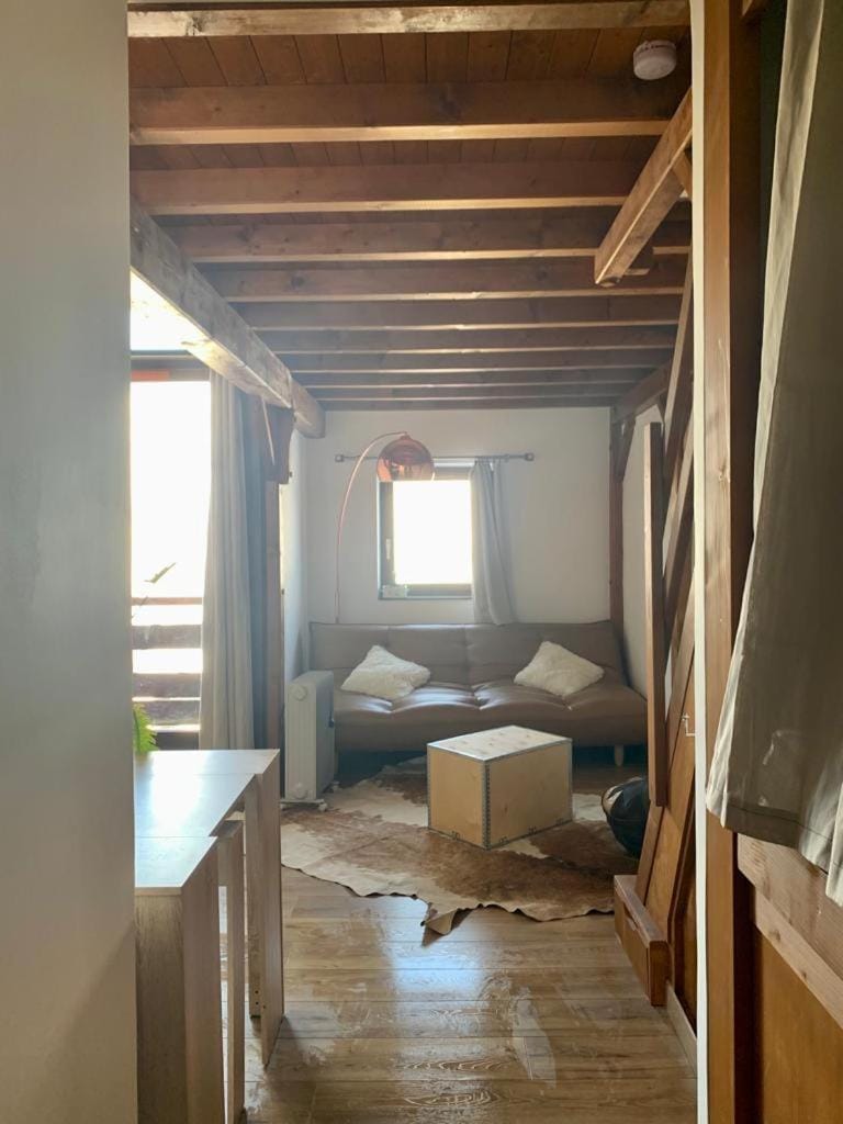 Superbe studio pied des pistes- linge de maison non fourni Apartment in Manigod