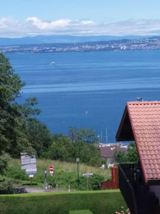 Charmant 3 pièces classé 3* avec belle vue lac Apartment in Évian-les-Bains