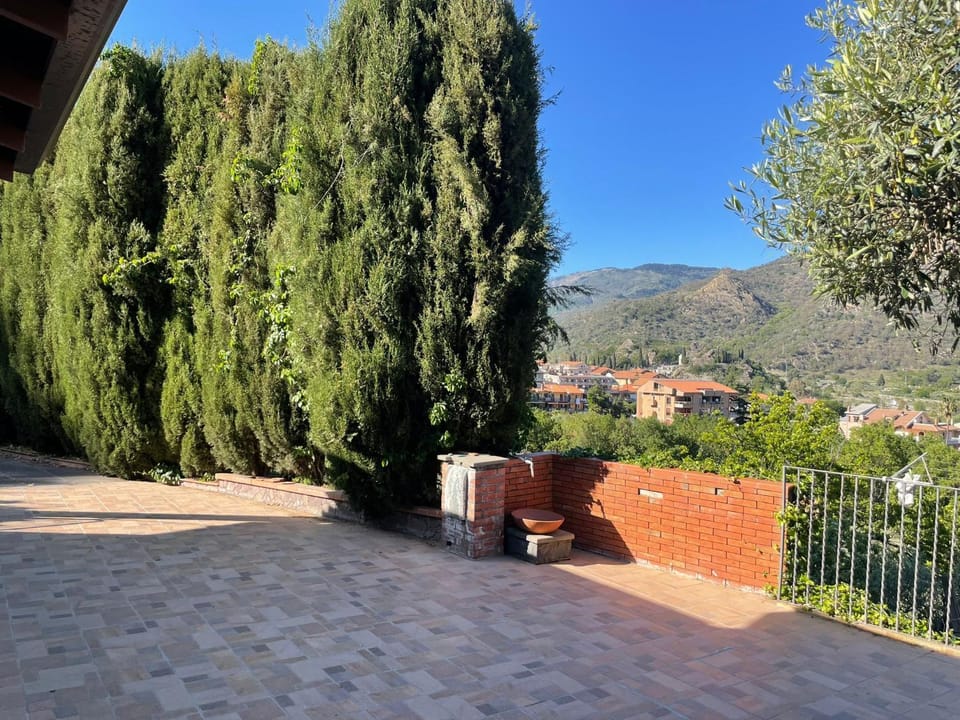 Day, Mountain view