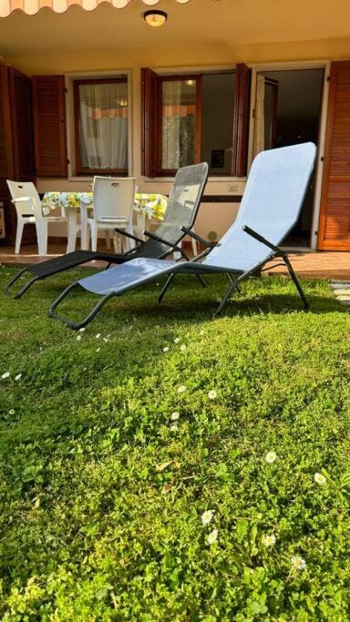 Patio, Day, Garden, Garden, sunbed