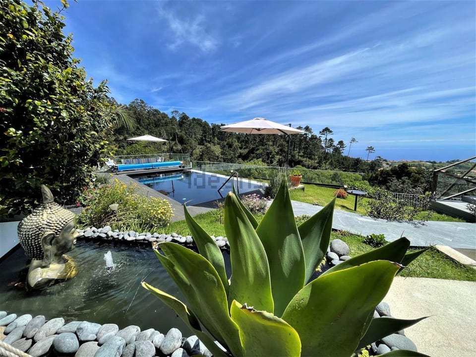 Garden, Pool view, Swimming pool