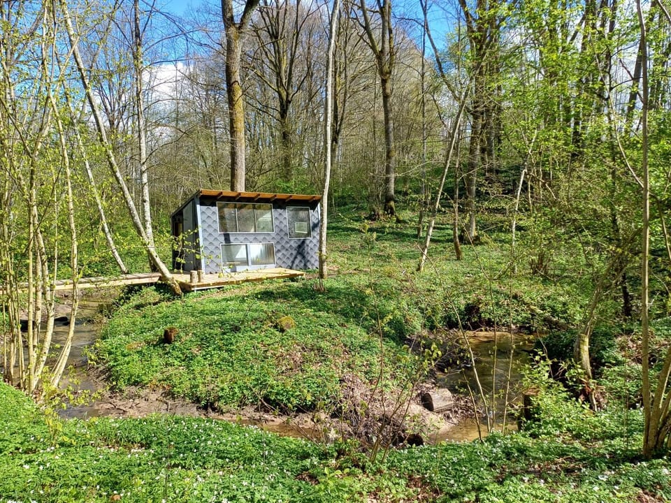 Spring