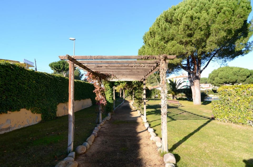 Patio, Garden, Garden view