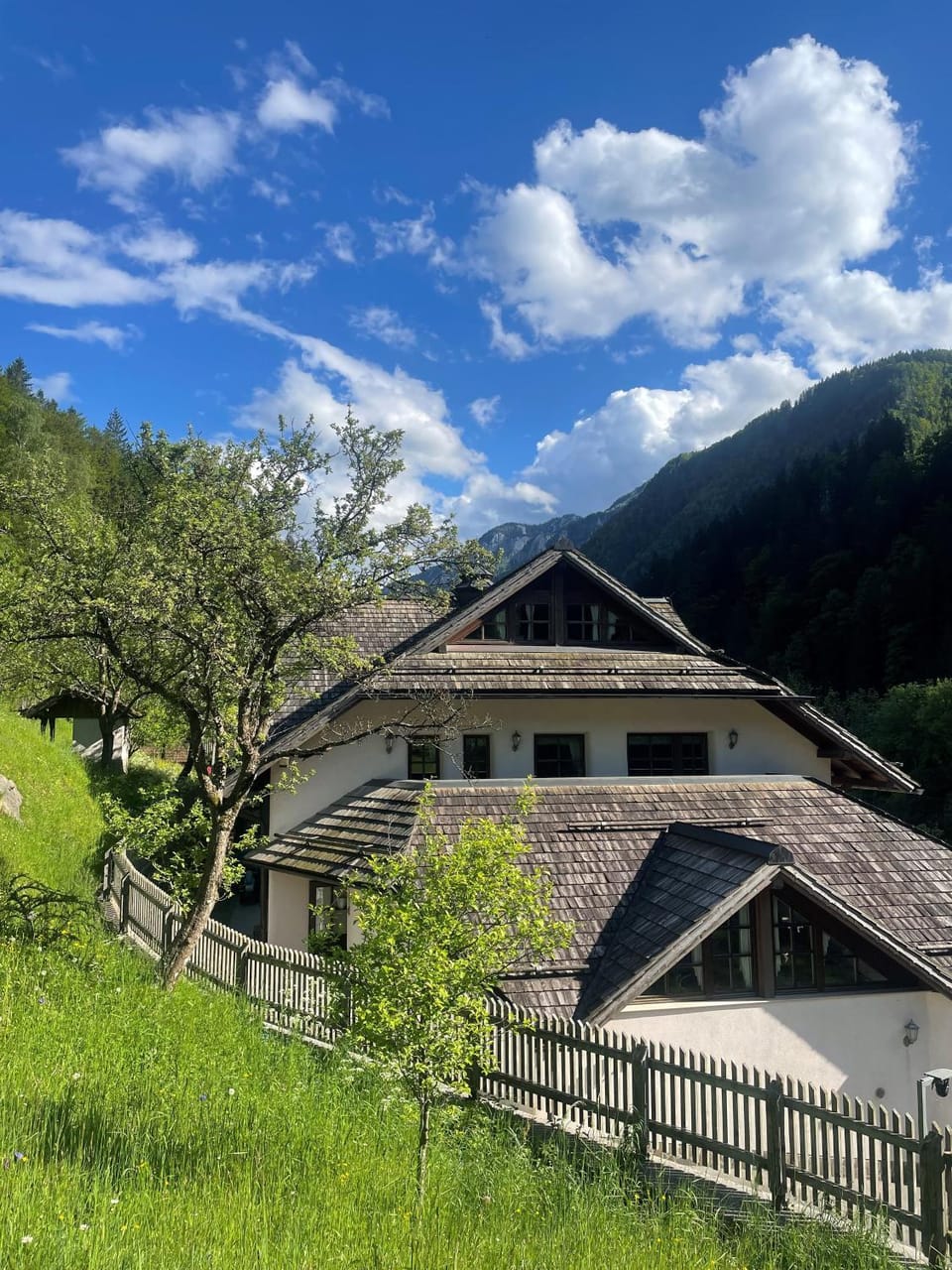 Apartments Pod macesnovo streho Apartment in Carinthia, Austria