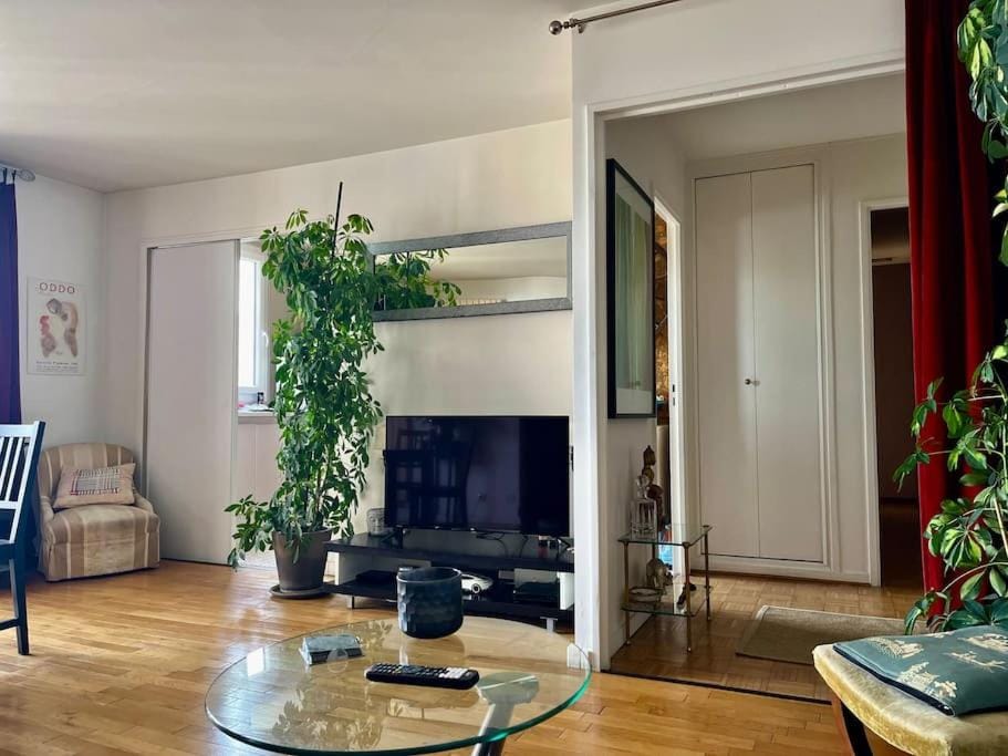 TV and multimedia, Evening entertainment