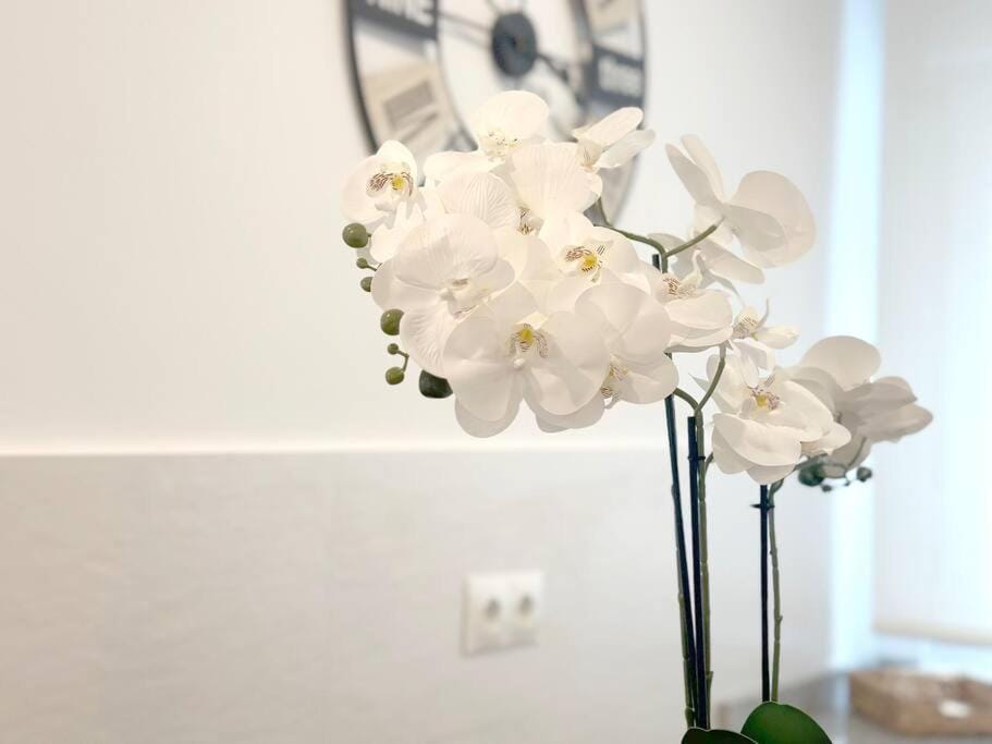 Apartamento reformado en Santoña Apartment in Santoña