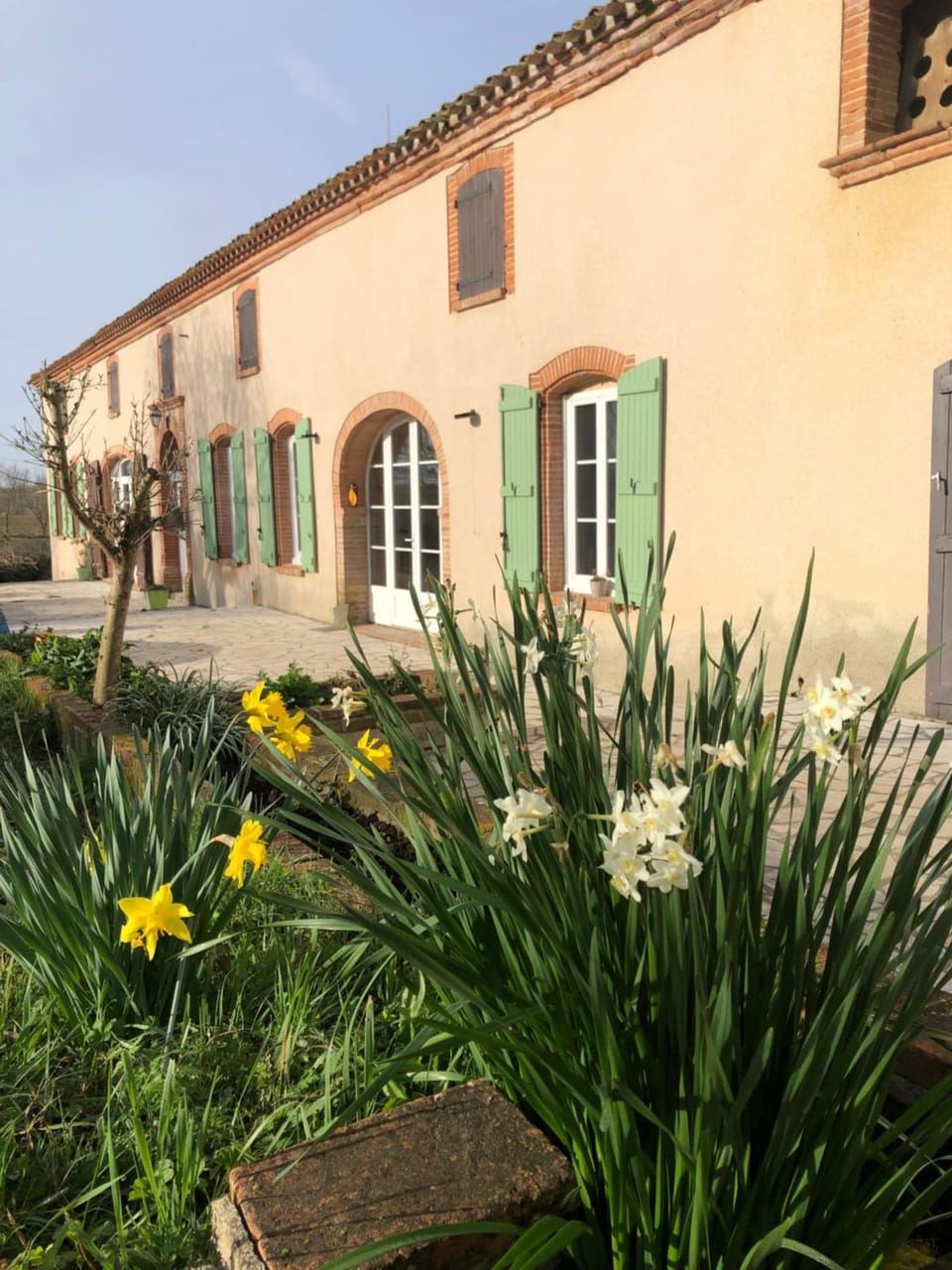 Property building, Spring, Garden, Garden view